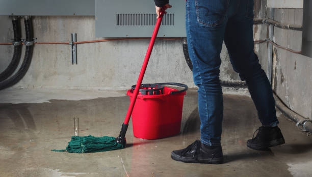 Best Flooded house restoration  in East Glenville, NY