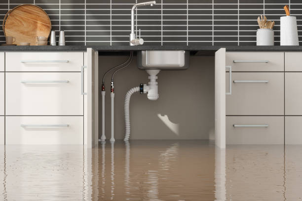 Best Local water damage restoration  in East Glenville, NY